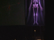 Screenshot Preview